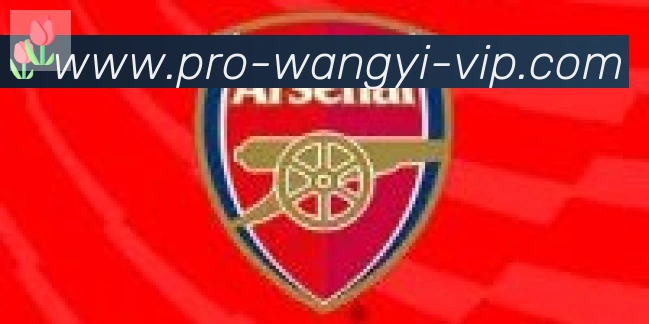 网易体育合作伙伴